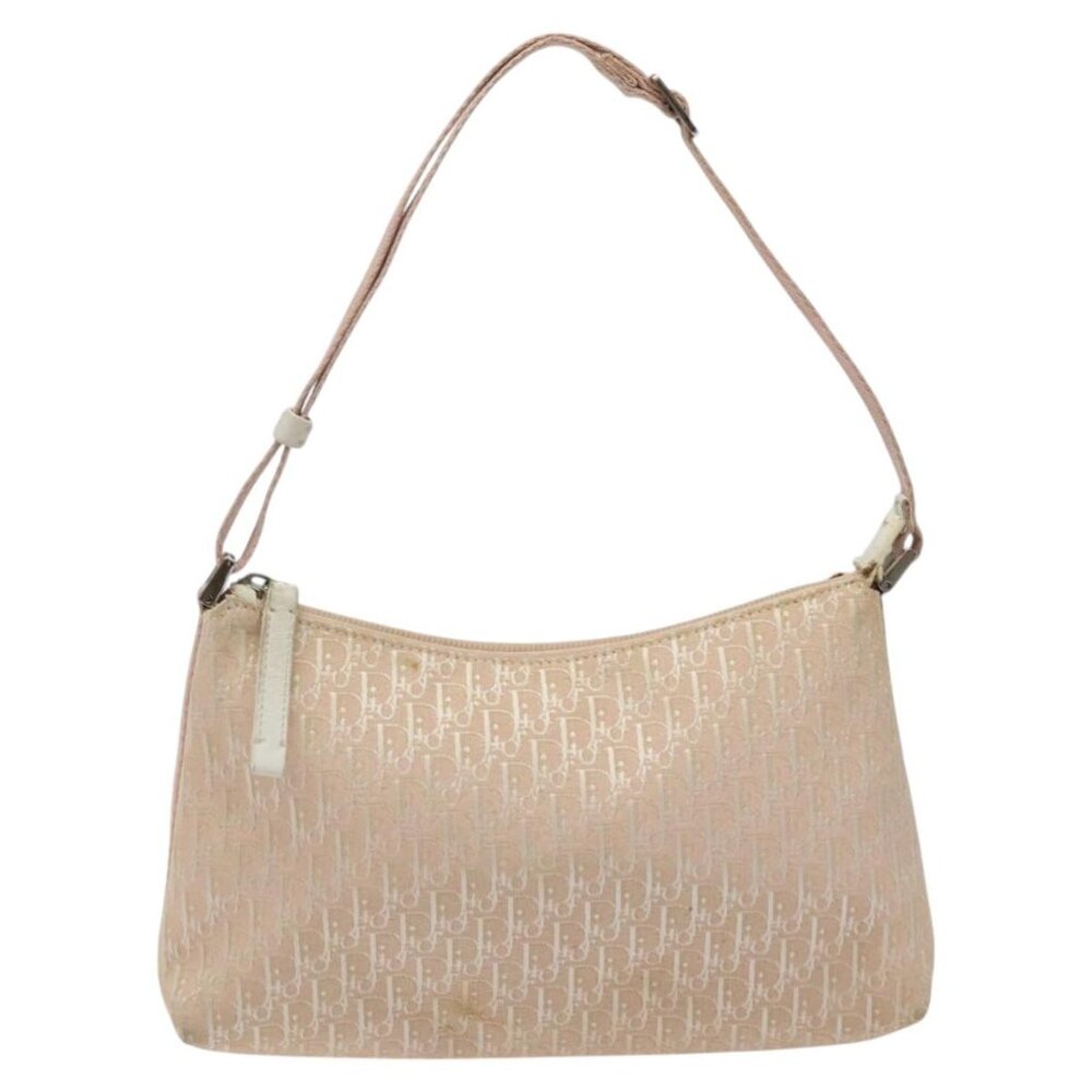 Christian Dior Trotter Canvas Bag